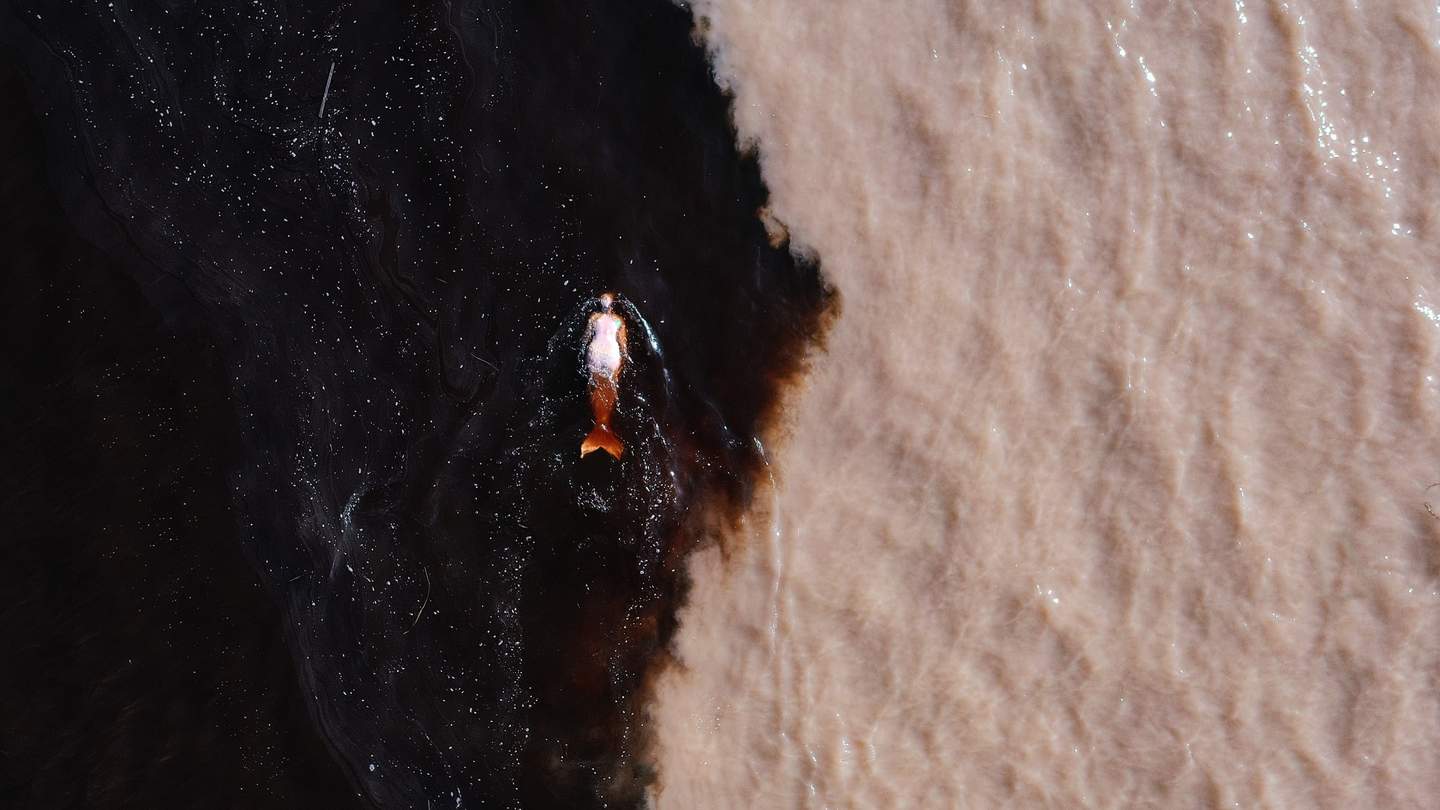 Two shaded sea and a fish in it