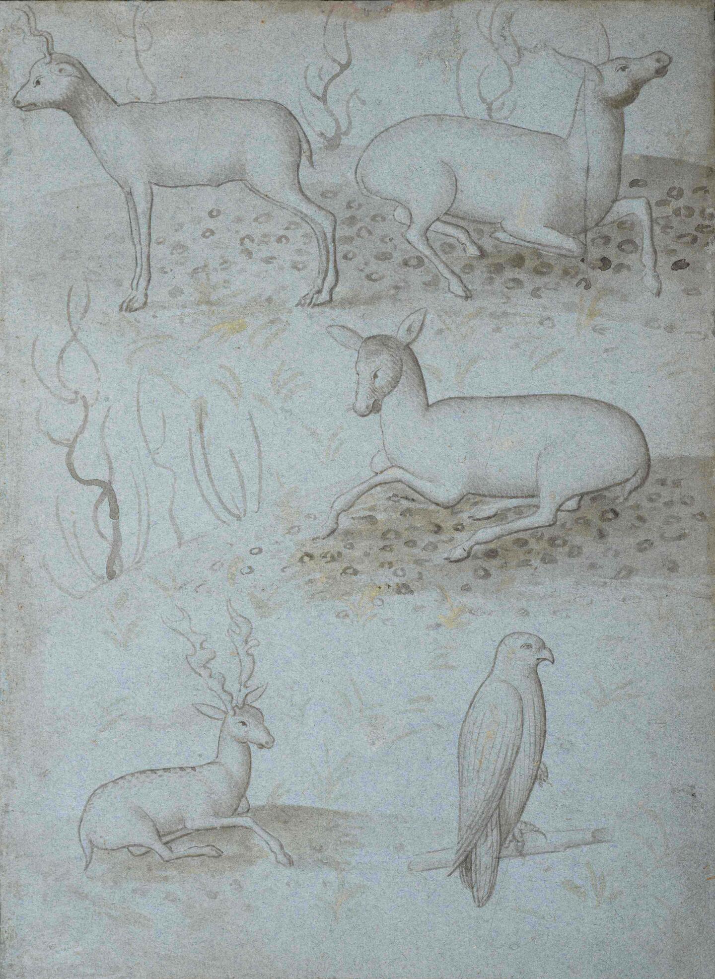 A pale illustration depicting four deer in various poses and a perched bird, all rendered in soft gray tones against a muted background.