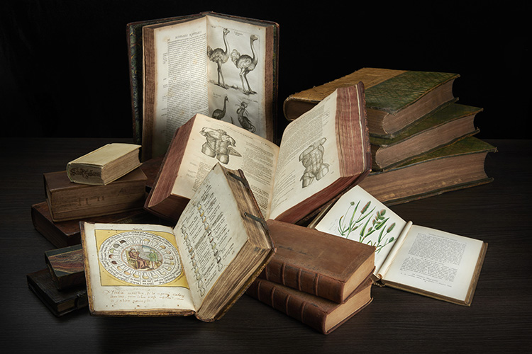 A collection of vintage books displayed haphazardly, featuring illustrated pages and ornate covers on a dark wooden surface.